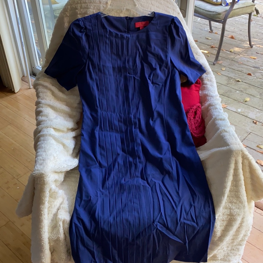 Lavia Gorgeous Virgin Wool Stretch Lined Pleated Details Dress Never Used
